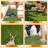 Polypropylene Pet Bed-98742456