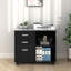 81.3cm Wide 3 -Drawer Mobile File Cabinet-458349794