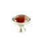 Mushroom Knob-18919410