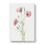 Lilac Mariposa by Mary Vaux Walcott - Wrapped Canvas-64020501