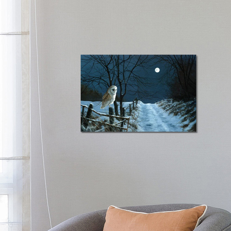Hunter's Moon - Barn Owl by Jeremy Paul - Wrapped Canvas Print, 45.72cm H x 66.04cm W x 1.905cm D
