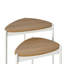 Monestime Nesting Tables-404740075