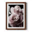 Rose noire II - photographie-1227621811-1227621810