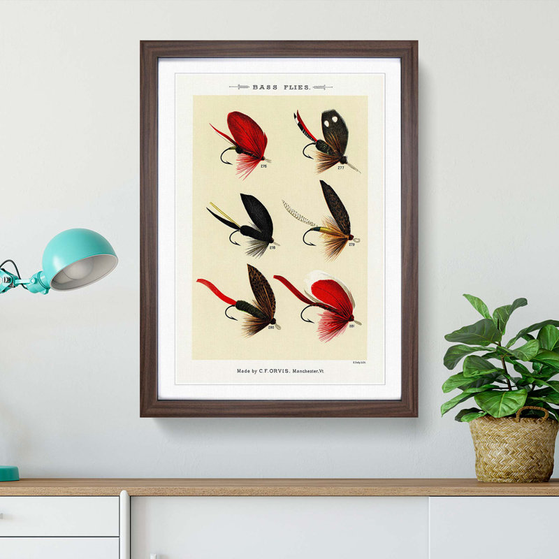Bass Fishing Flies Versions 3 by Mary Orvis Marbury - Picture Frame Painting Print, 48cm H x 36cm W x 2cm D, Walnut Framed