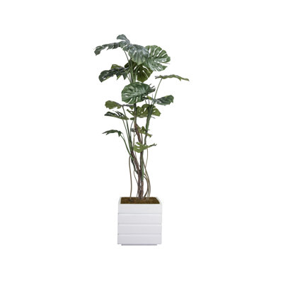77 " H Faux Plant