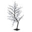 Cherry Lighted Display