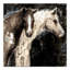 «Horse Friends», reproduction sur toile tendue