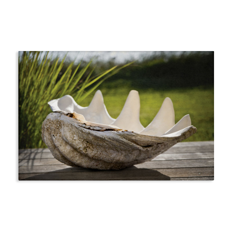 Toile de coquillage Sea Treasure, design par Seven Trees Design, H 30 po x l 45 po