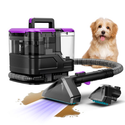 BSNAW Portable Carpet Cleaner Machine, 30000Pa Powerful Suction, Spot Cleaner with Self-Cleaning Function, Large 2000ml Clean Water Tank & 750ml Dirty Water Tank, Lightweight Upholstery Cleaner for Carpet, Furniture, Car, Sofa, Purple