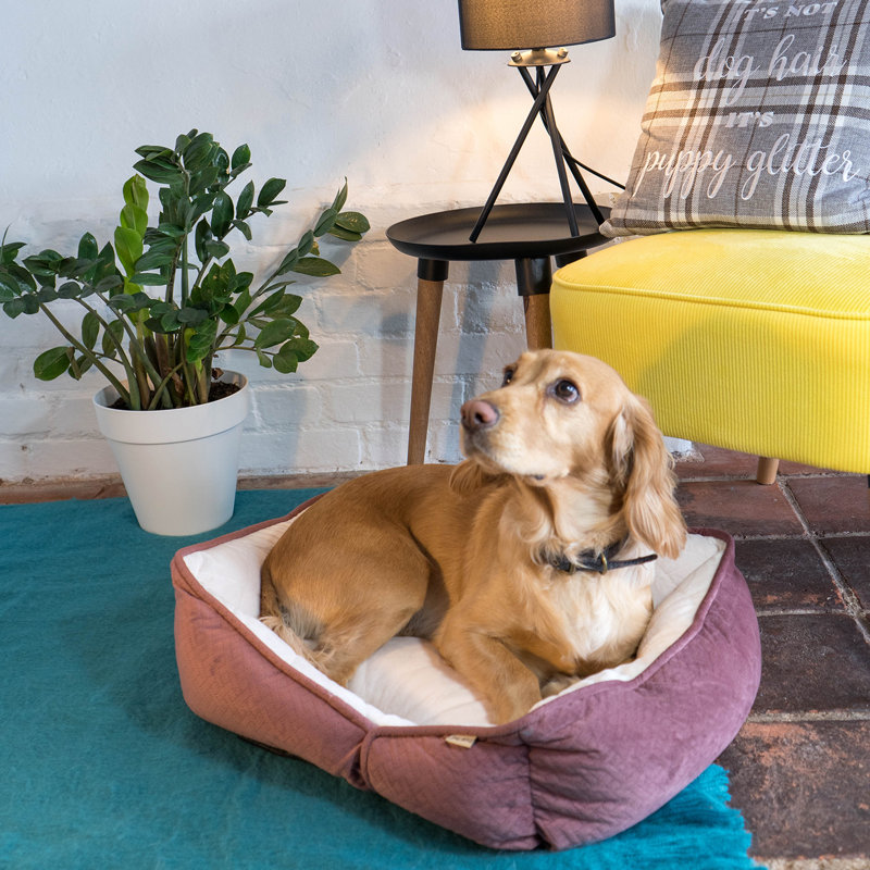 Aranza Geometric Polyester Pet Bed, 18cm H x 50cm W x 40cm D