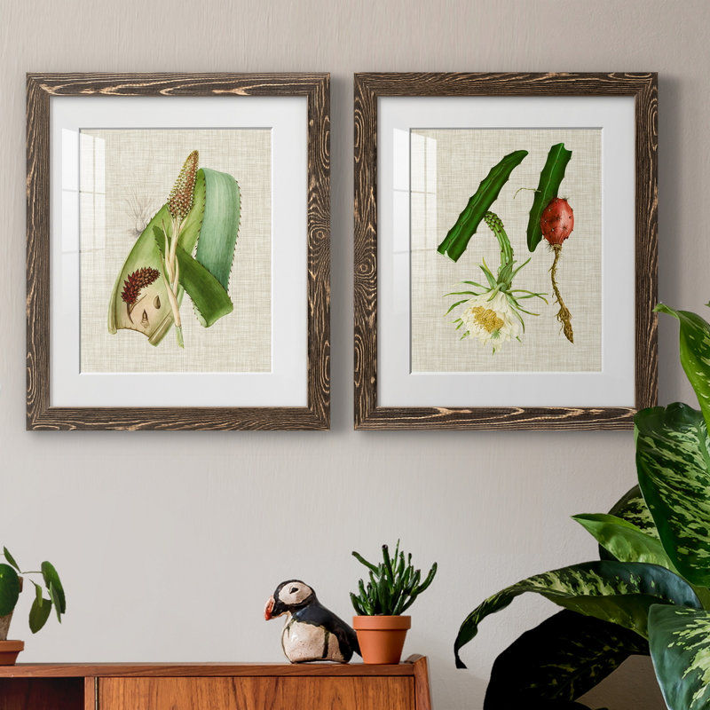 Impression encadrée Elegant Tropicals IPremium - prête à être accrochée, Papier, cadre noyer, H 20 po x l 17 po x P 1 po