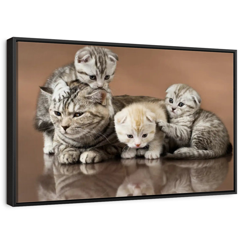 Cat Family, Floating Frame Black, 37" X 25"
