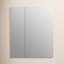 Embark Premium Xl 30 In. X 36 In. Rectangular Two-Door Medicine Cabinet-966889183