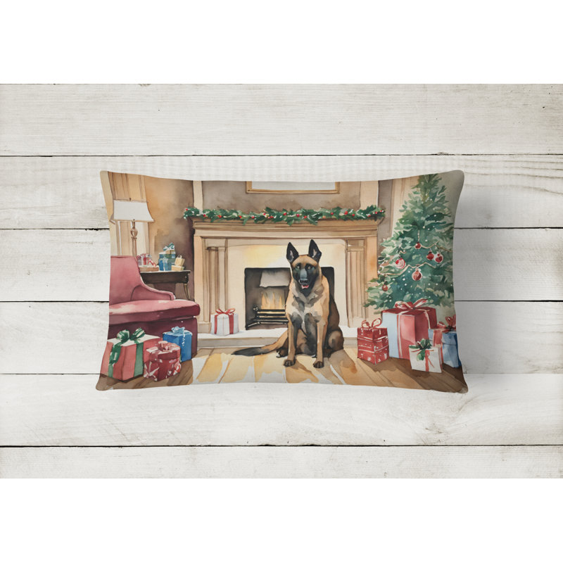 Other/No Pattern Outdoor Throw Pillow