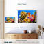 Papillons et coraux-107673164