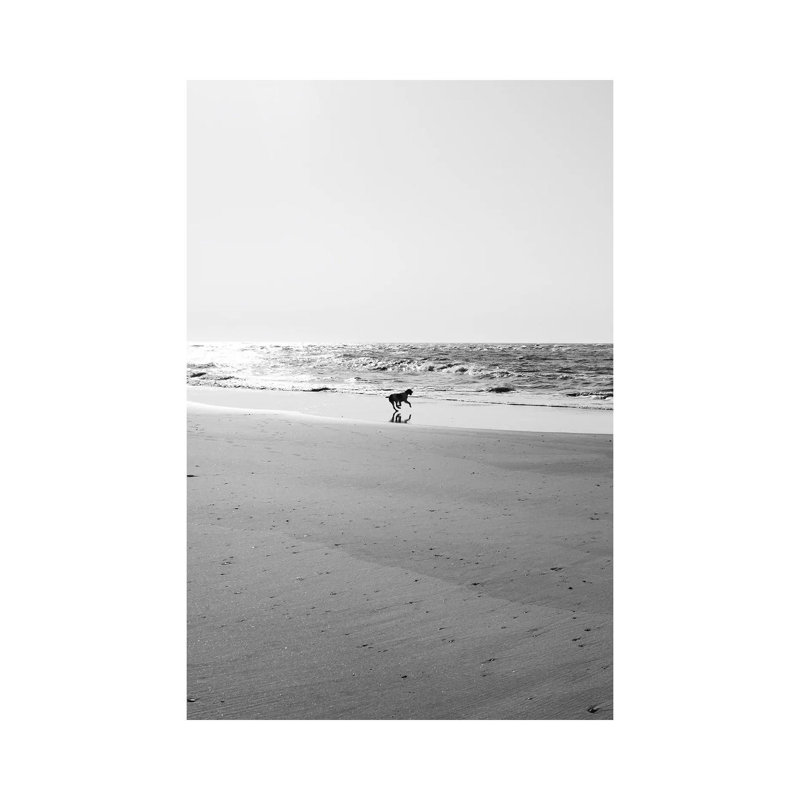 Sullivan's Island IX by Bethany Young - Print on Canvas, Wrapped Canvas, 66.04cm H x 45.72cm W x 3.81cm D