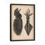 « animal octopus squid scientific », impression sur toile-73921321-10871462-73921322