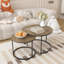 Ensemble de 2 tables basses gigognes