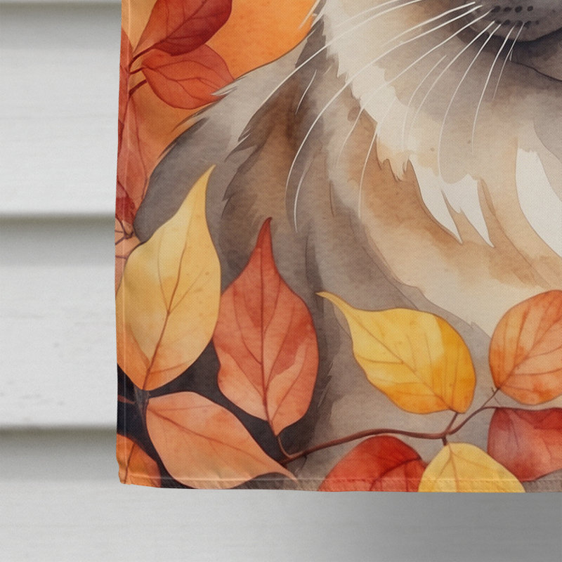 Chat en feuilles d'automne, Birman