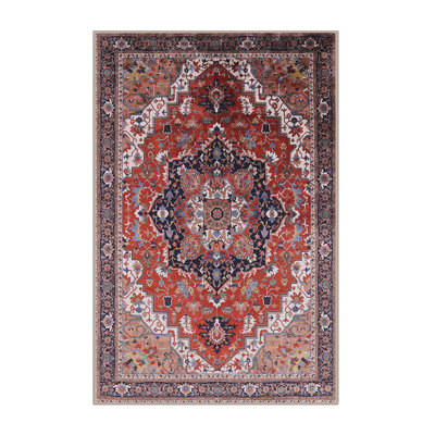 Oriental Indoor Rug