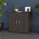 Studio C 30" Wide 2 - Shelf Storage Cabinet