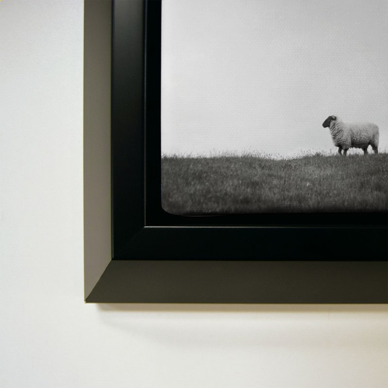 Islay Sheep II par Laura Marshall - Impression sur toile, H 44 po x l 64 po, Noir