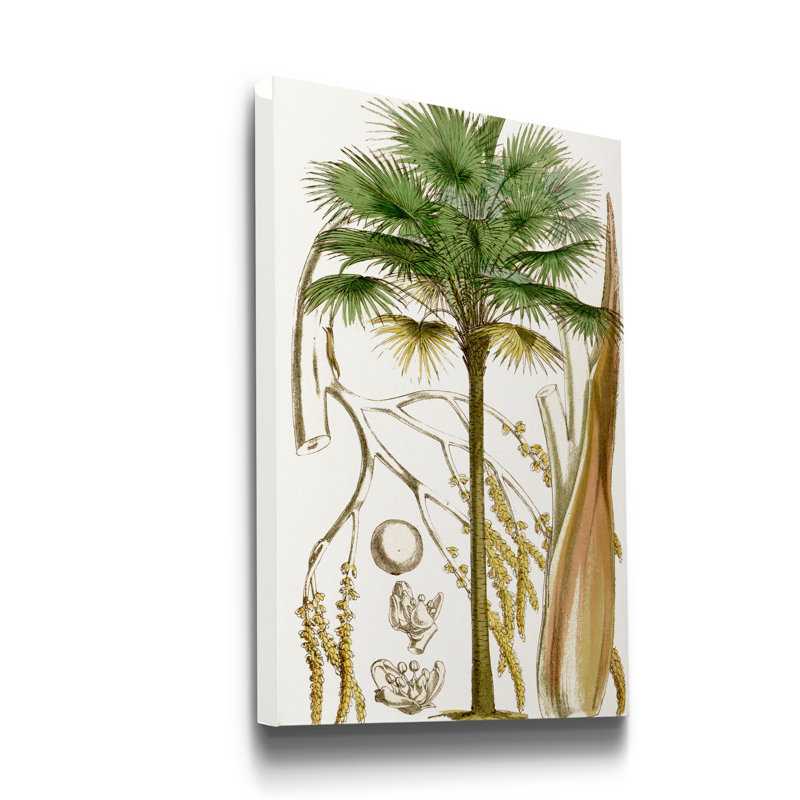 « Curtis Palms I », reproduction d’art sur toile tendue, H 12 po x l 8 po x P 1 po