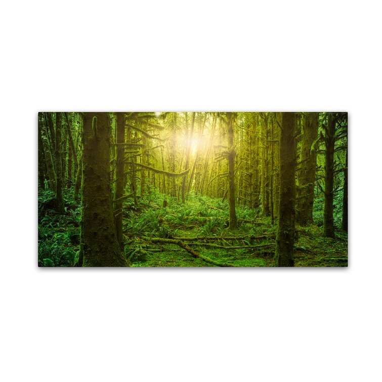 'Dream Forest 3' Photographic Print on Wrapped Canvas