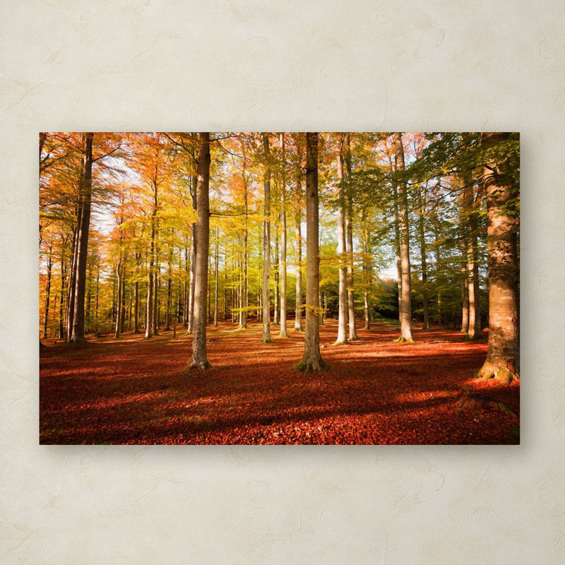 Philippe Sainte-Laudy - Photograph on Canvas, 30" H x 47" W x 2" D