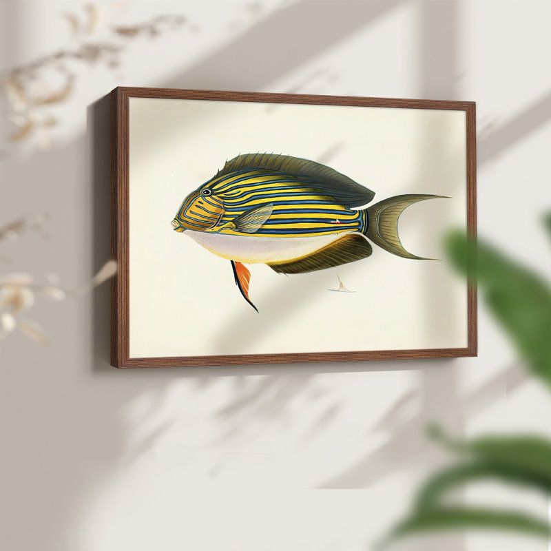 Collection de poissons tropicaux I - impression encadrée - réarmable, H 22 po x l 28 po, Noyer