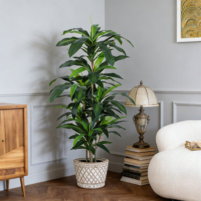 5Ft Dracaena Artificial Tree, Fake Tree With Plastic Pot, Faux Tropical Yucca Floor Plant For Home Office Living Room
