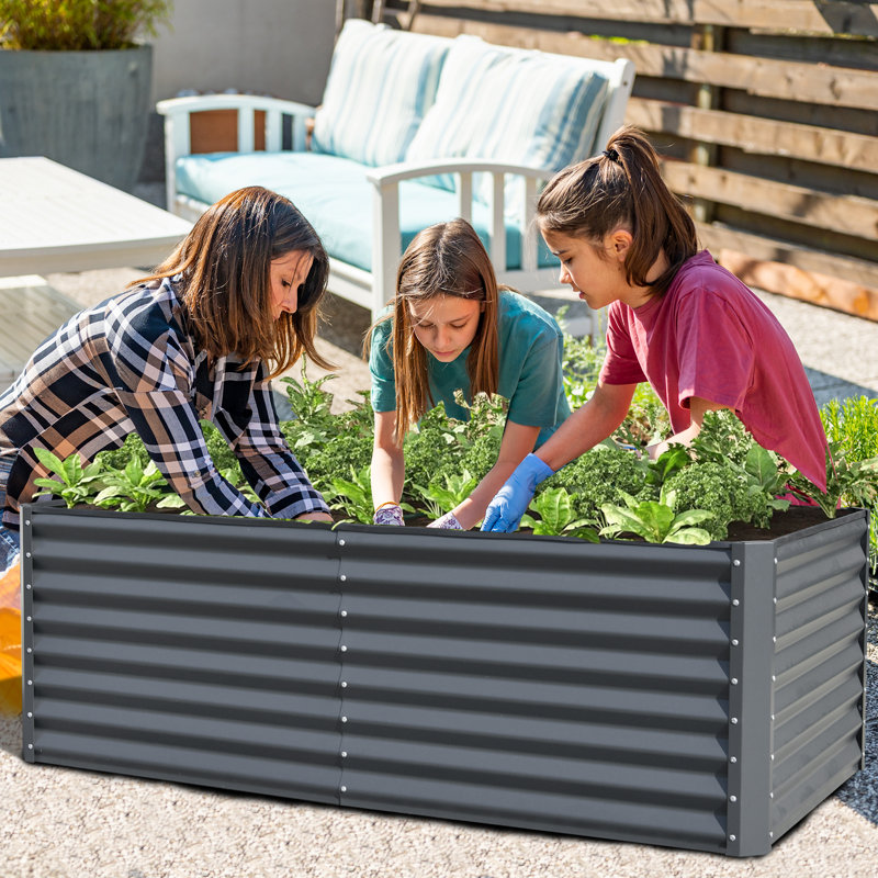 Lit de jardin surélevé en métal Sacia, H 23,62 po x l 94,49 po x P 47,25 po, Gris