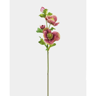 Real Touch Mauve Pink Hellebore 18"