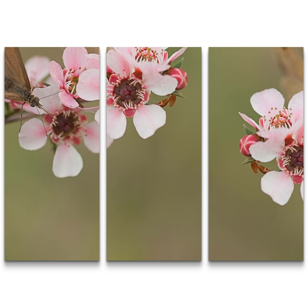 3-tlg. Leinwandbilder-Set Rosa blühende Myrtenzweige mit Schmetterlingen