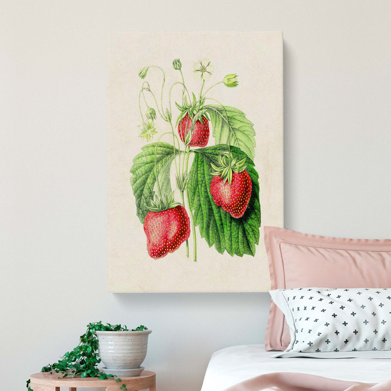 Illustration of Strawberries - Wrapped Canvas, 50cm H x 35cm W x 3cm D