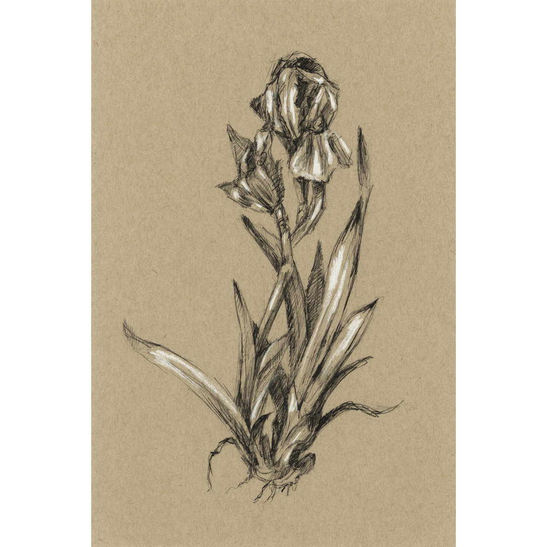 Leinwandbild Botanical Sketch B&W VI