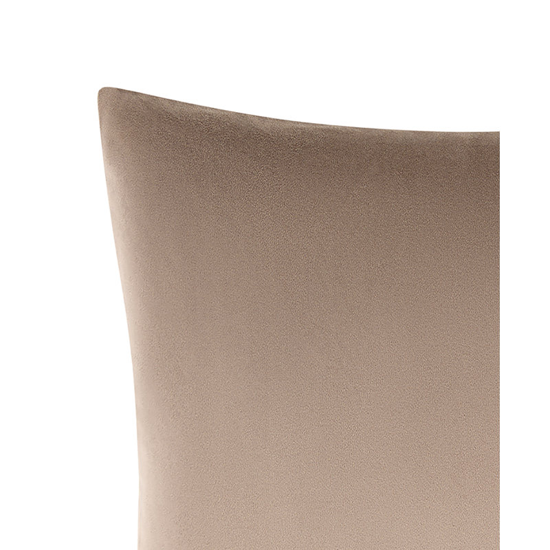 Hannah Velvet Square Decorative Pillow