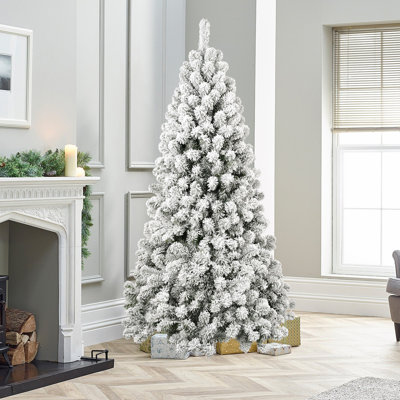 Unlit White Frosted Fir Christmas Tree