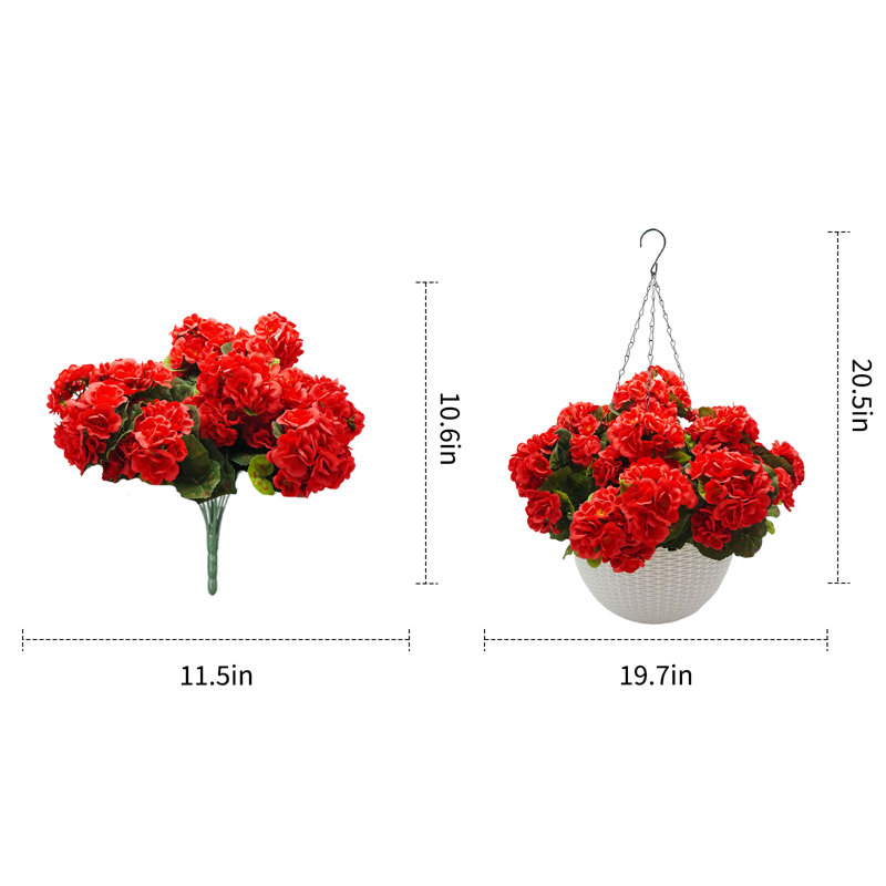13.5cm Plant