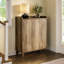 20 Pair Shoe Storage Cabinet