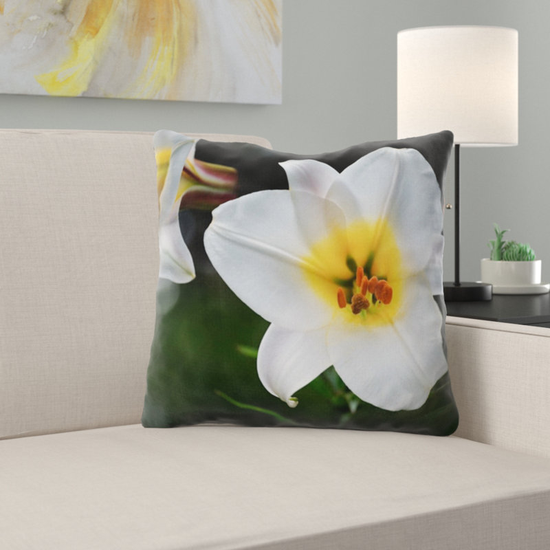 Coussin lily david