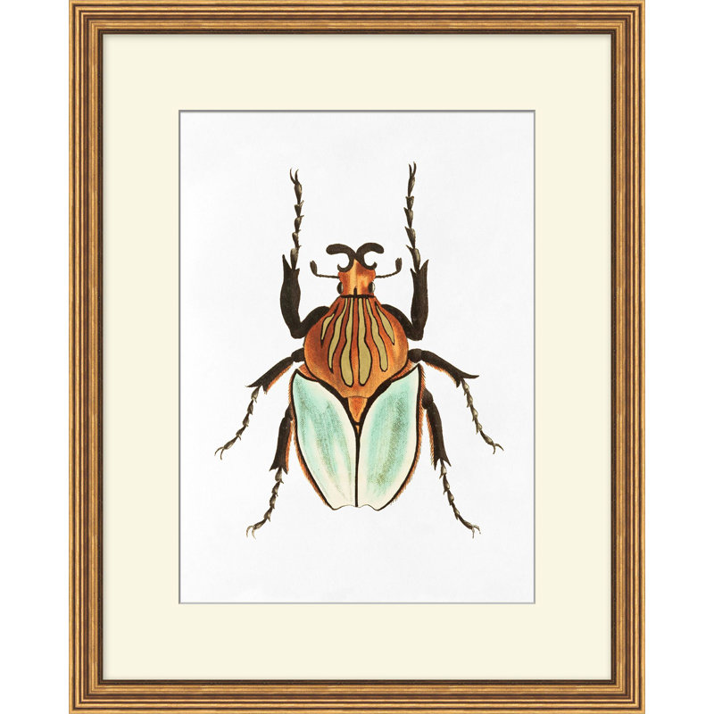 Gilded Beetle 1 Print by Lillian August