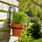 Metal Iron Wall Planter Contemporary Decorative Arched Frame Minimalist Style Vertical Garden Mount Accent Modern Geometric Design Durable Construction Indoor Outdoor Display Hanging Container-499693102