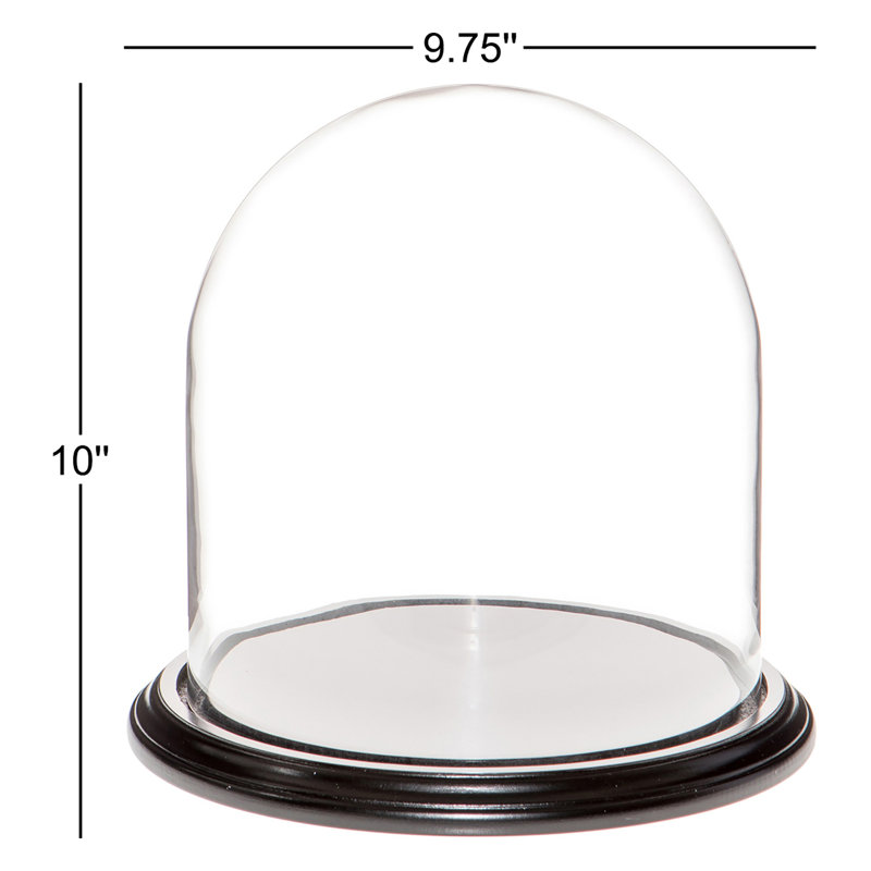 Cloche à dôme en verre 9,75 "x 10" Vucciria, Pas de base