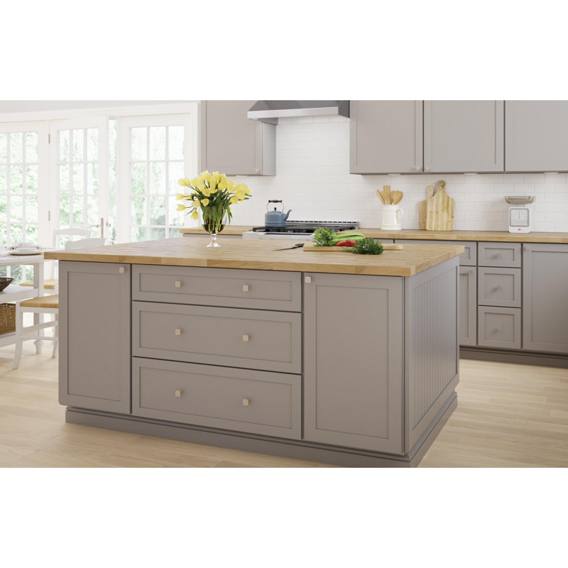 Parow 1-1/8 Antimicrobial Satin Cabinet Knob, Satin Nickel