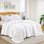 Couverture en duvet et fibre de duvet d'oie, édredon toutes saisons avec bordure en satin - Coquille douce et respirante - à superposer - Lavable à la machine-102305821-102305823