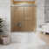 56" - 60" W X 66" H Soft Closing Frameless Double Sliding Bath Tub Shower Doors With 3/8" Tempered Clear Glass