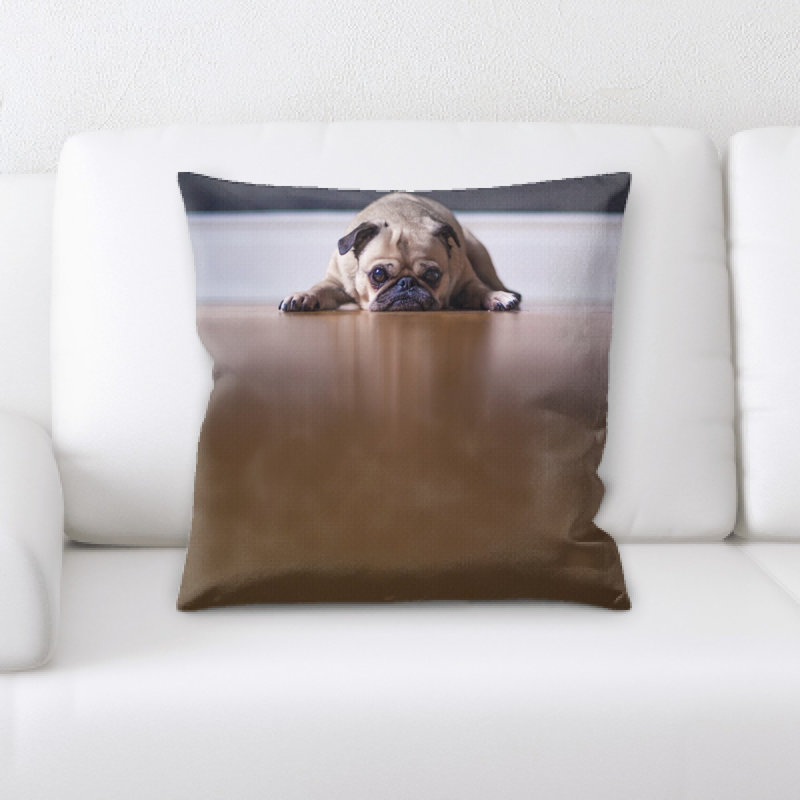 Coussin carlin