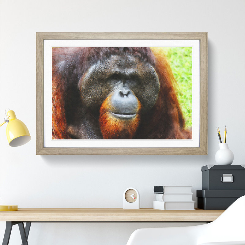 Orangutan Monkey Vol.1 - Framed Print, 27cm H x 36cm W x 2cm D, Oak Framed