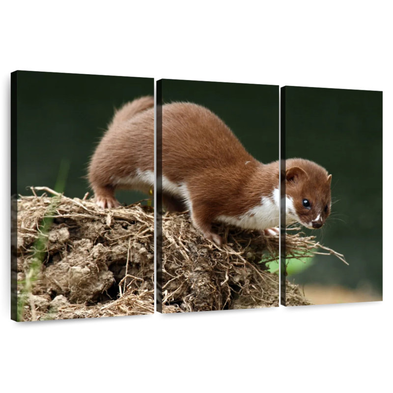 Food Hunting Weasel, 48" H x 74" W